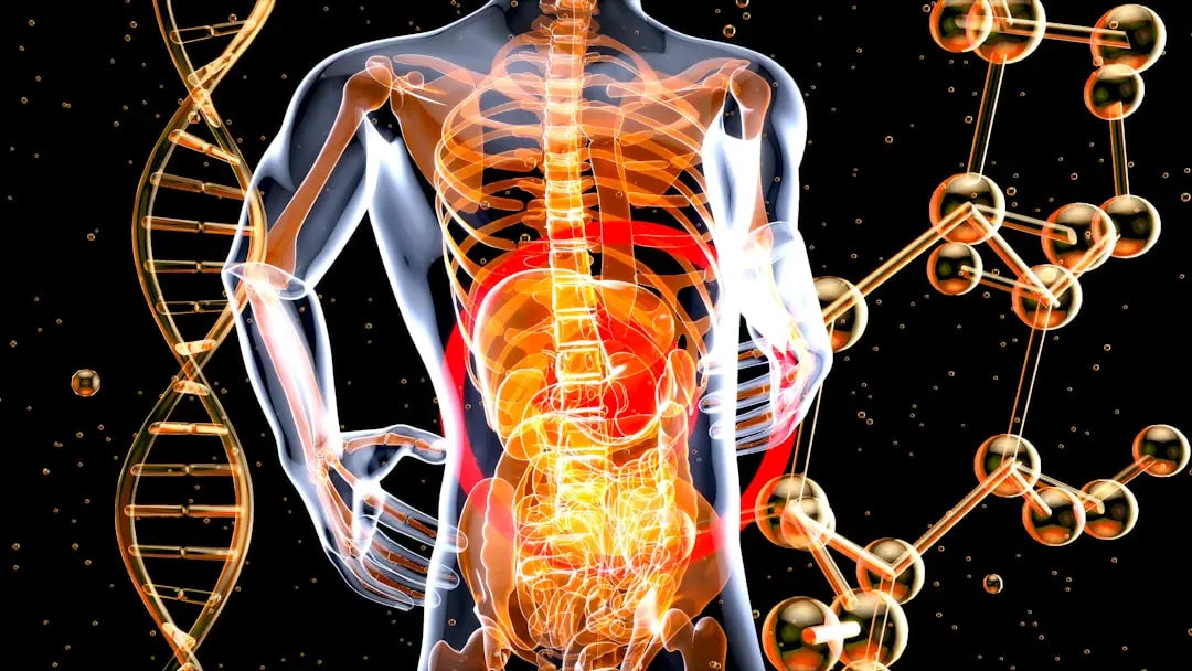 Why Your Sciatic Nerve Is Screaming: Causes and Relief